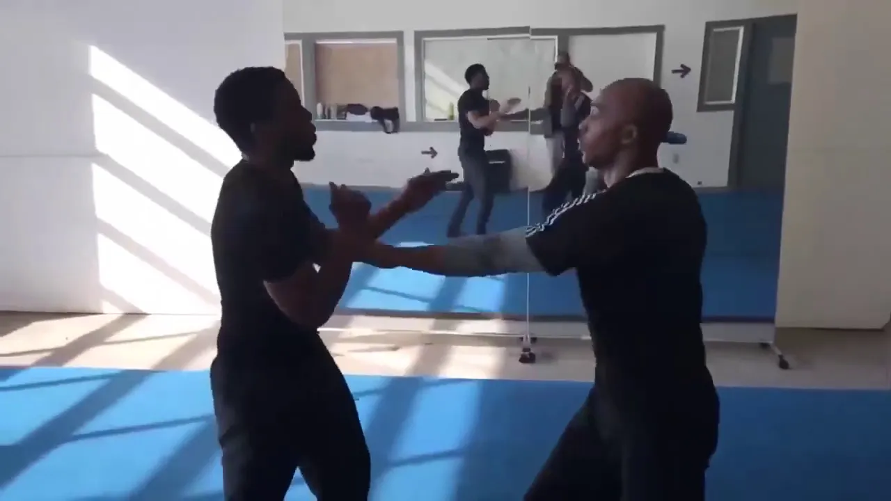 Chadwick Boseman Martial Arts Training For Black Panther background