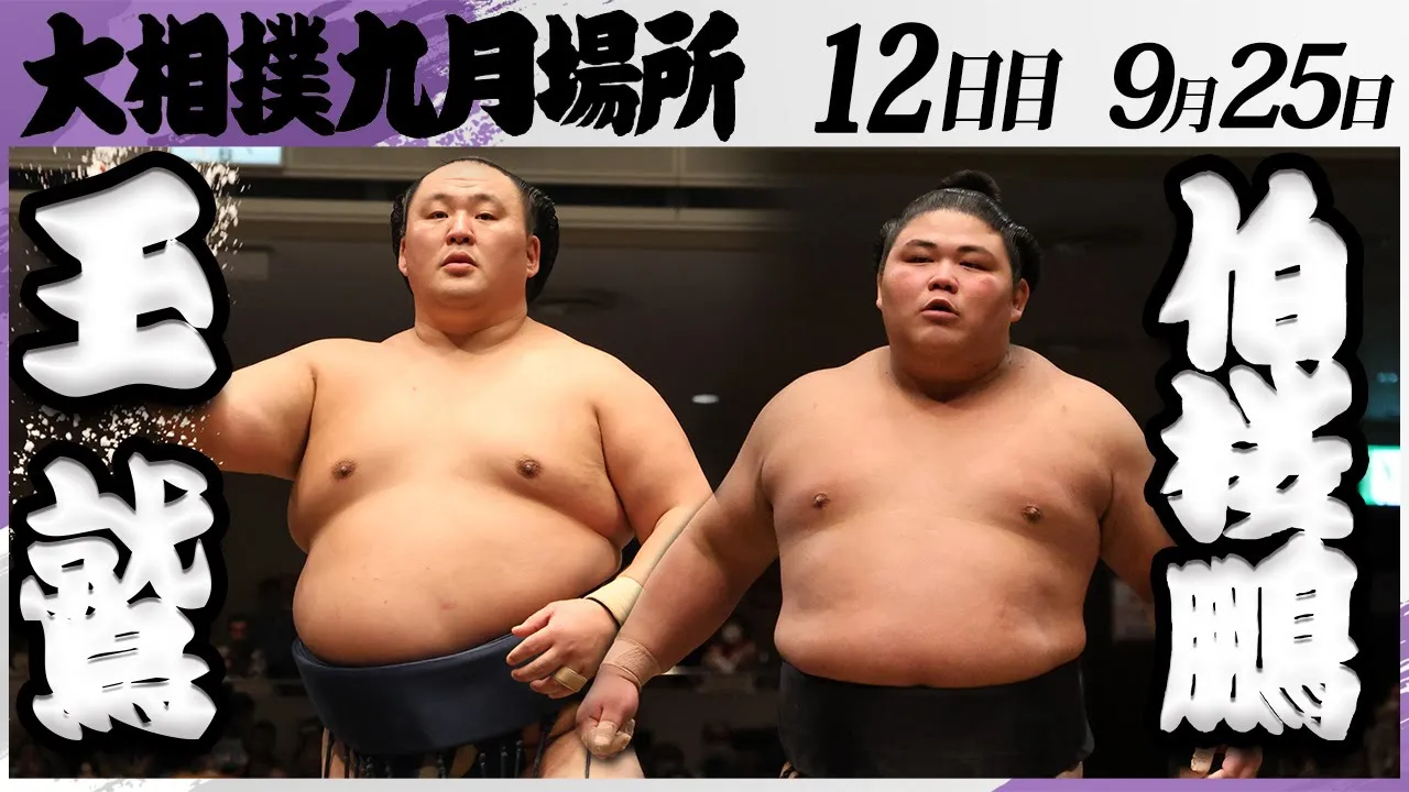 大相撲 玉鷲ー伯桜鵬<令和7年九月場所・12日目>SUMO background