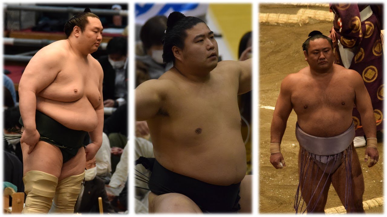 Ex-Hakuho's Isegahama stay extended + other Sumo News (May 31st)