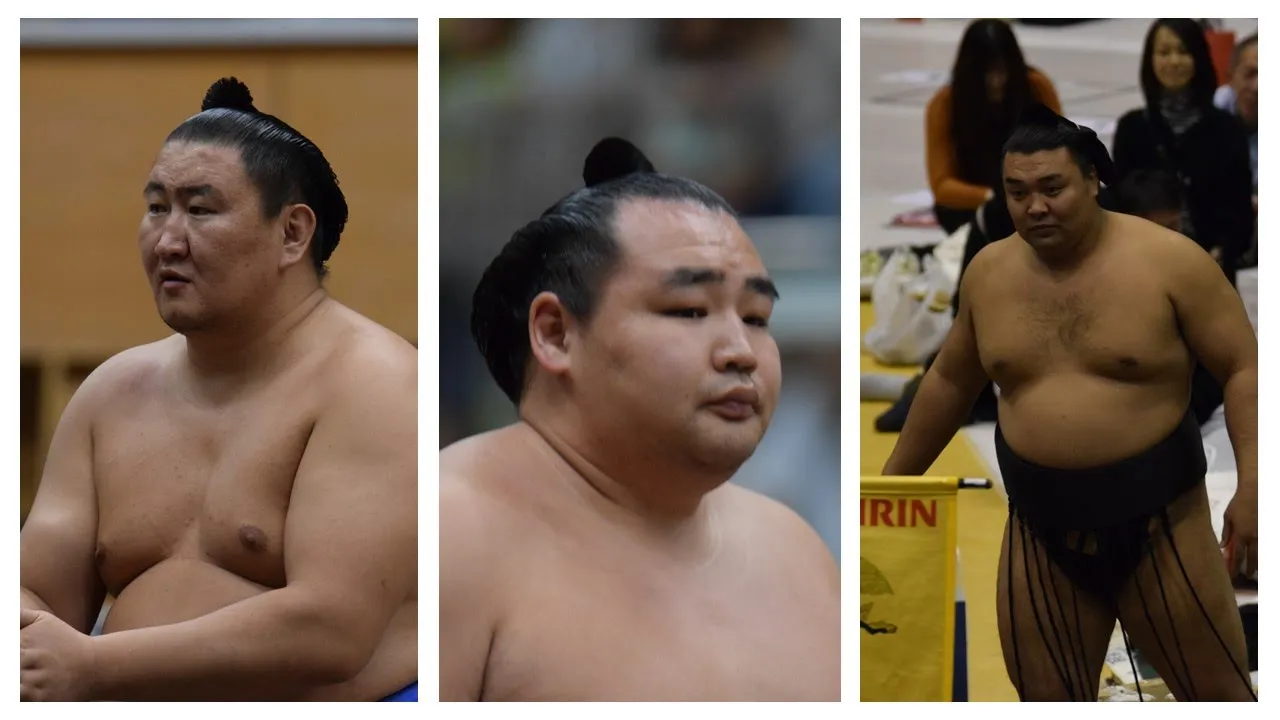 Kakuryu opens new stable; Terunofuji says he'll return, Azumaryu quits (Sumo News, Dec 28th) background