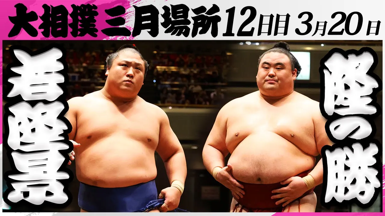 大相撲 若隆景ー隆の勝<令和7年三月場所・12日目>SUMO background