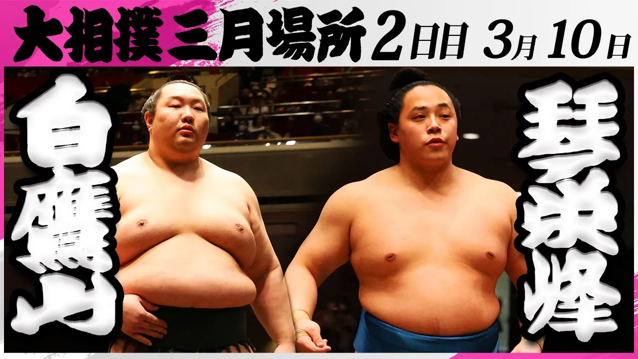 大相撲 白鷹山ー琴栄峰<令和7年三月場所・2日目>SUMO backdrop