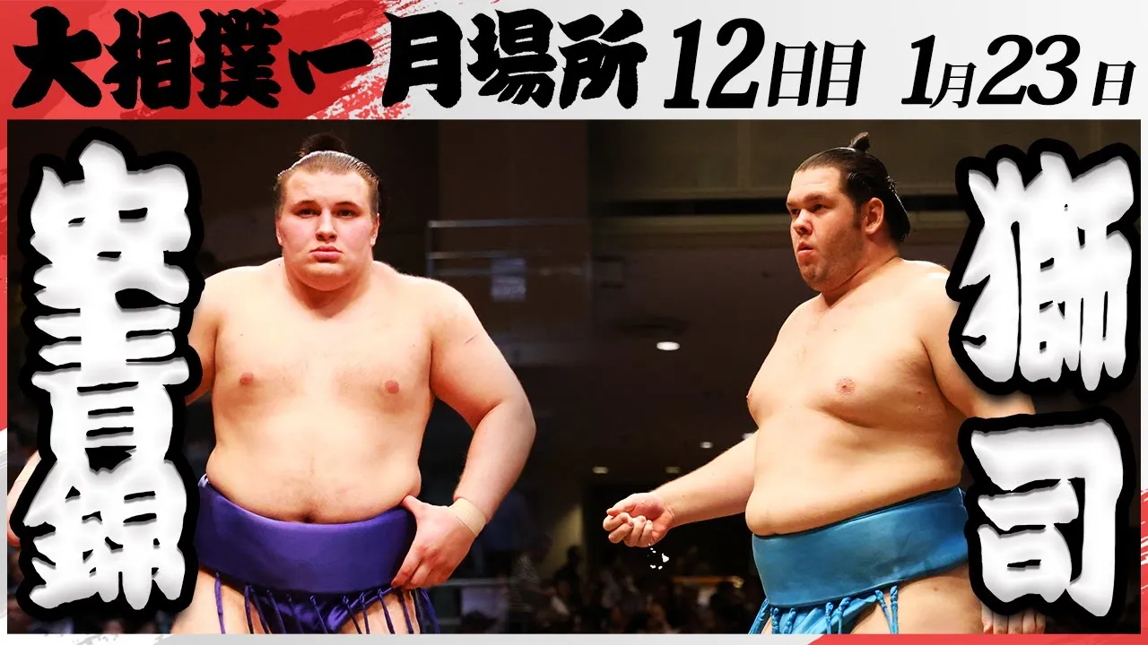 大相撲 安青錦ー獅司<令和7年一月場所・12日目>SUMO background