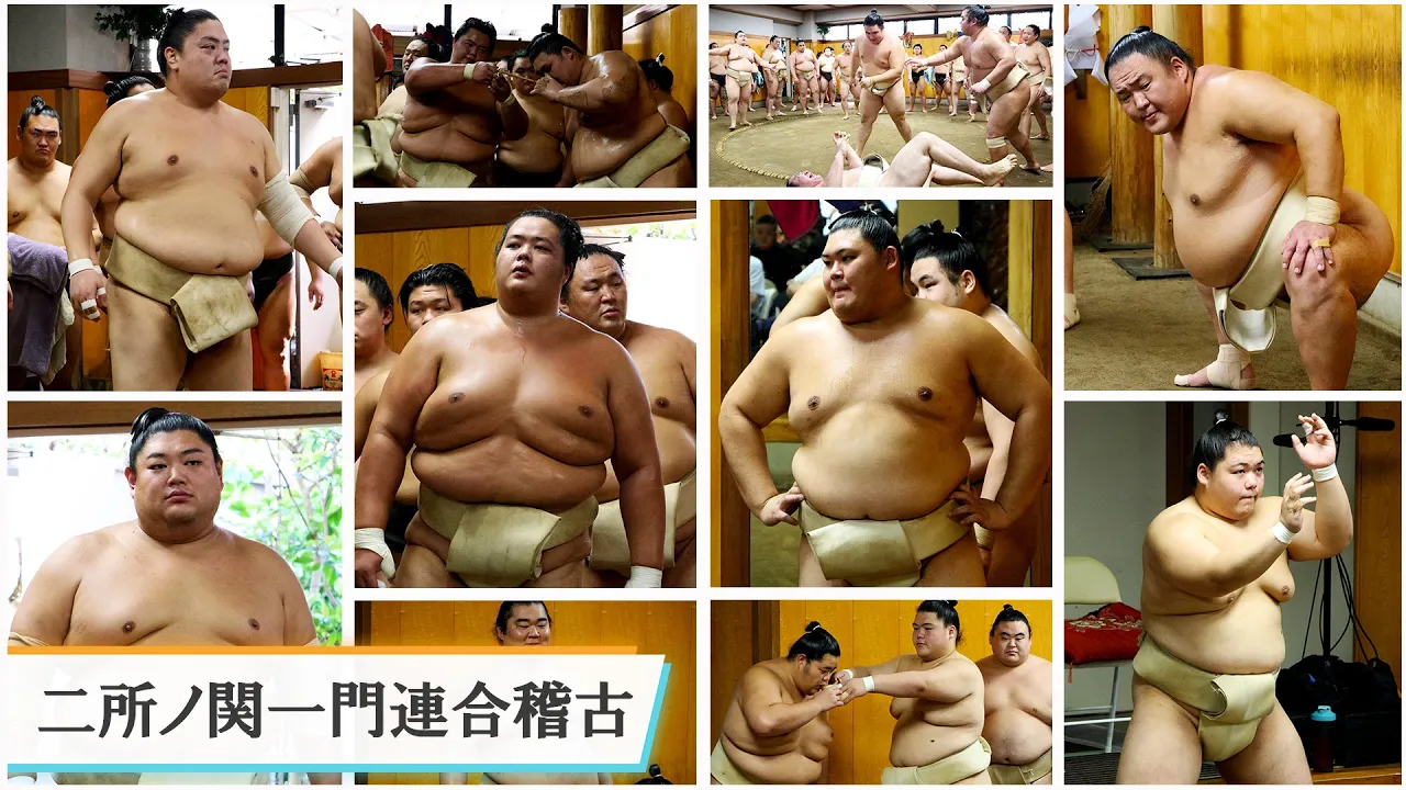 二所ノ関一門連合稽古<令和7年九月場所前>申し合い稽古、横綱大の里、大関琴櫻三番稽古 background