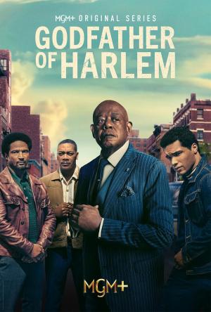 Godfather of Harlem S1-S4 - sflix