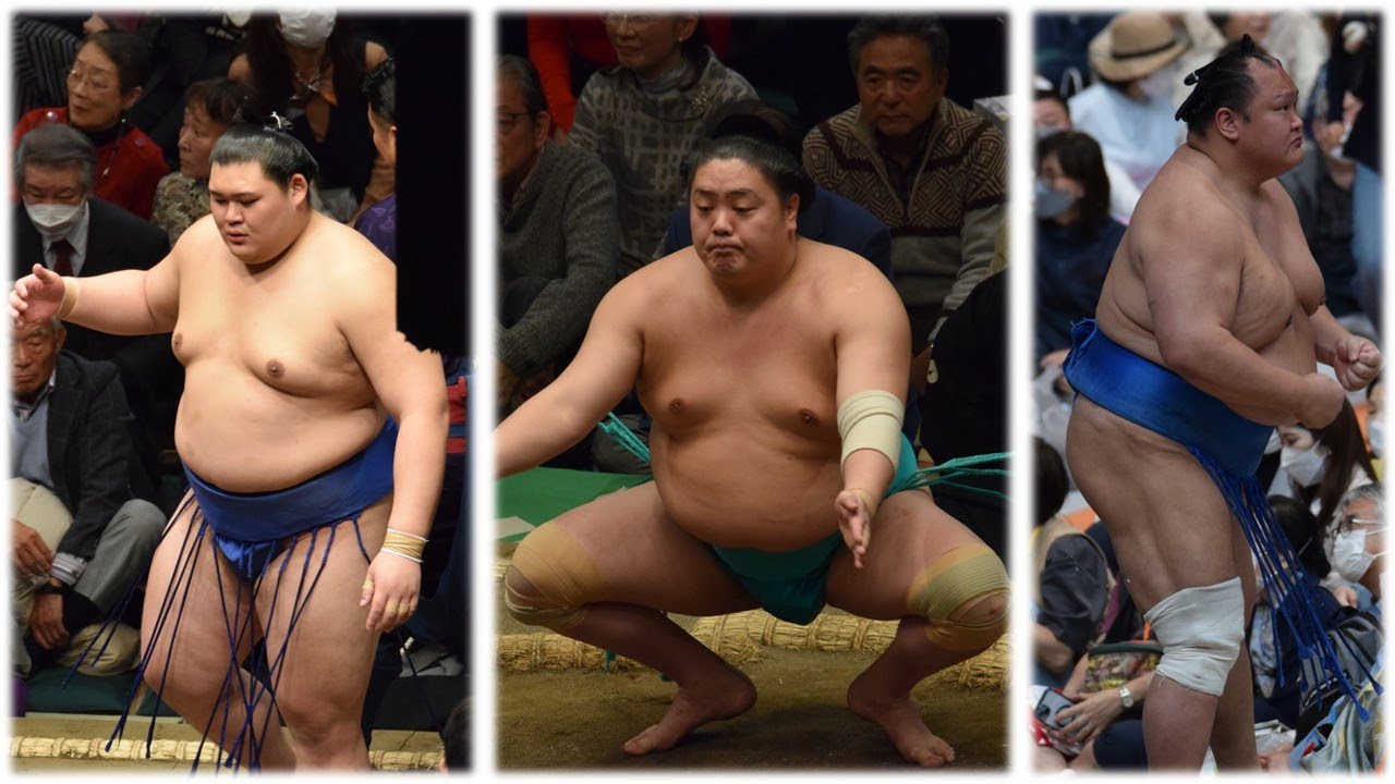 Onosato's rebirth; Yokozuna Council defends Hoshoryu decision; Hokutofuji to quit? (Sumo News)