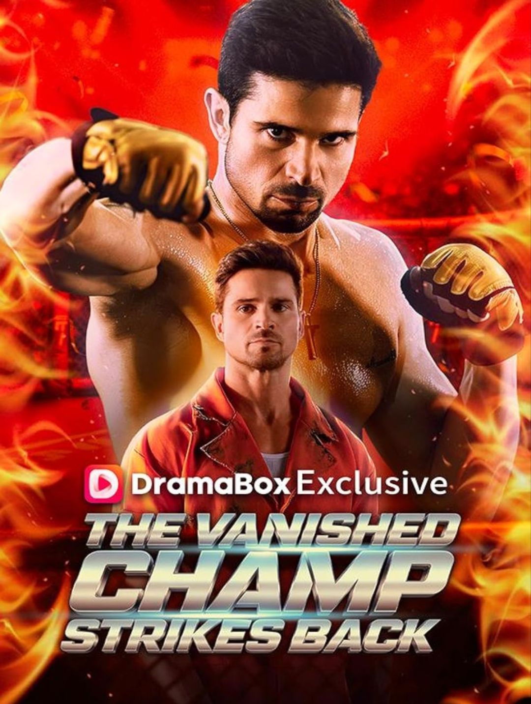 The Vanished Champ Strikes Back — blurred background