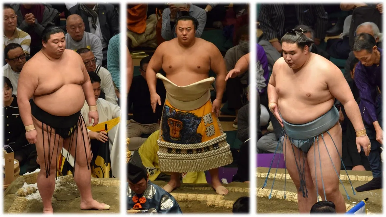 Shodai's $20m accessories, Tobizaru investigation + more sumo revelations!