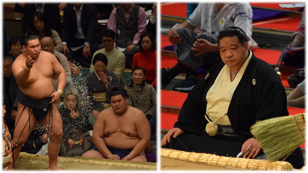 Hoshoryu's elbow "not yet healed;" Onosato's losses "are painful to watch" (Sumo News, Mar 31st)