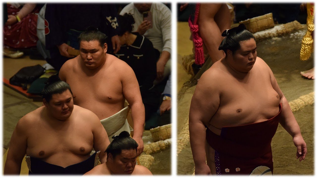Onosato beats Kotozakura but is battered by Hoshoryu; Kirishima injured twice (Sumo News, Mar 5th) background