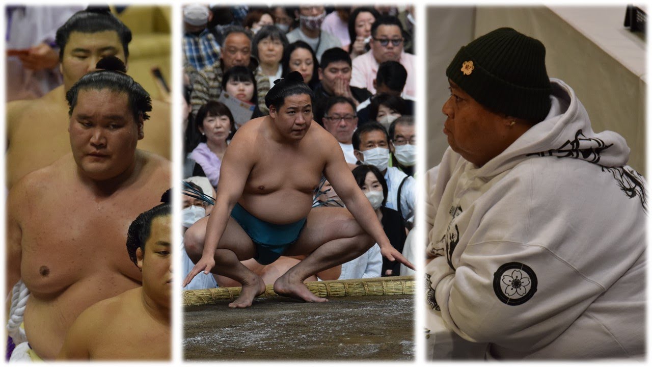 Terunofuji up for January; Konishiki has kidney transplant; Tamashoho's record (Sumo News, Dec 23) background