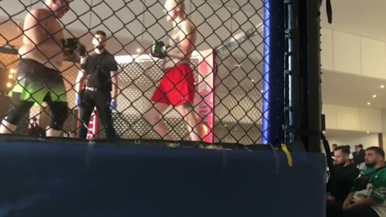 When Wing Chun Schools MMA - Ving Tsun Till background