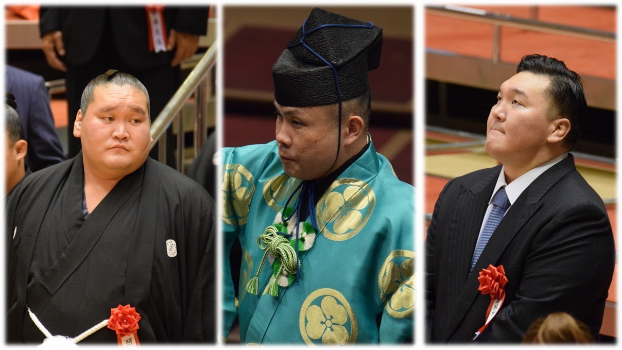 Terunofuji "building new stable" + referee suspended for violence (Sumo News, Feb 3rd) background