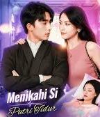 Menikahi si Putri Tidur poster