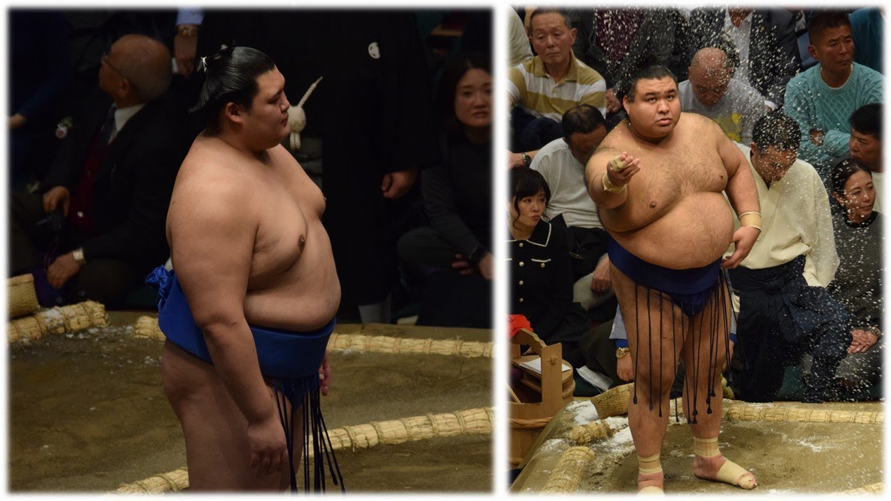 Onosato chasing record yokozuna promotion; Hoshoryu to join the tour (Sumo News, Mar 24th)