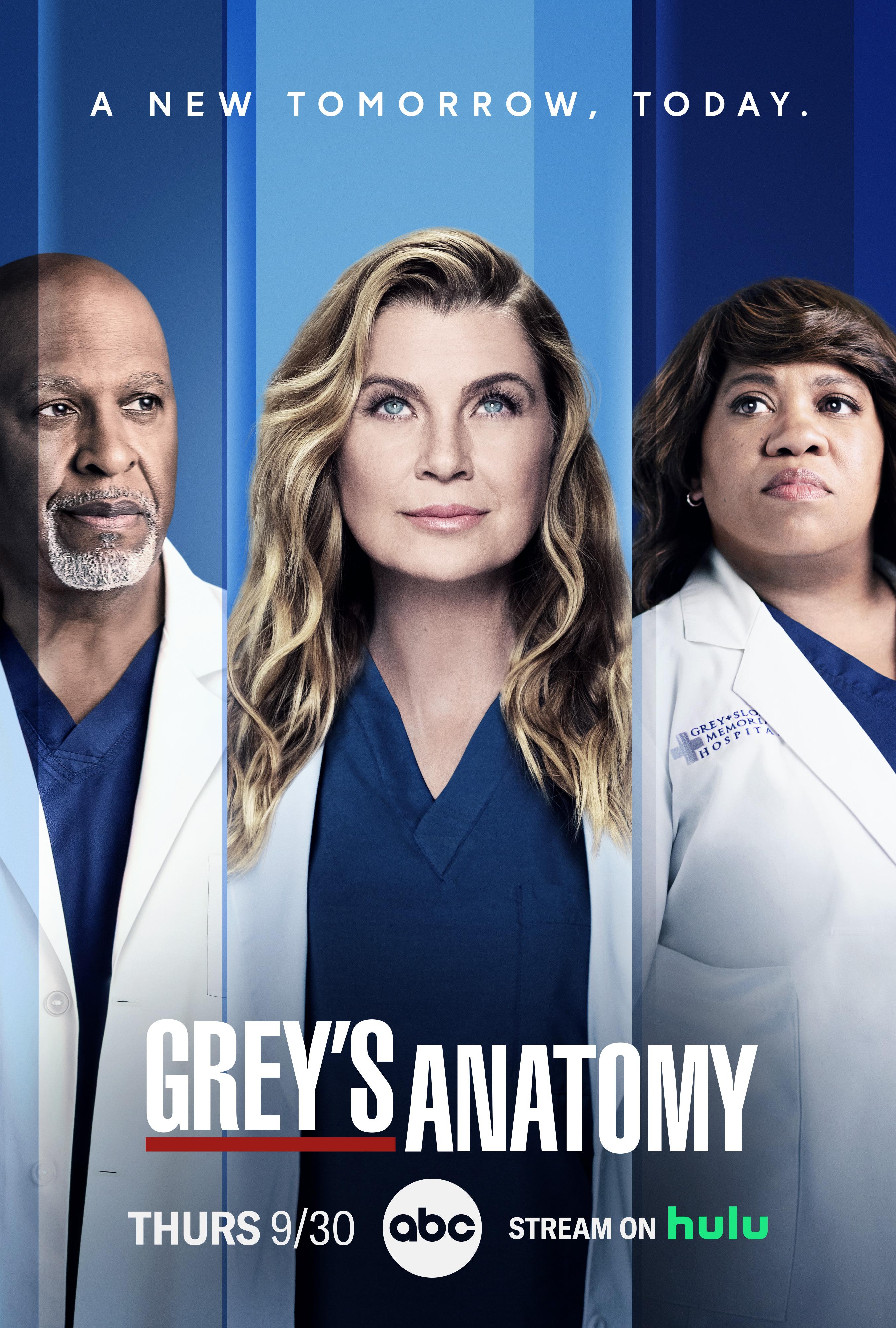 Poster for Grey's Anatomy