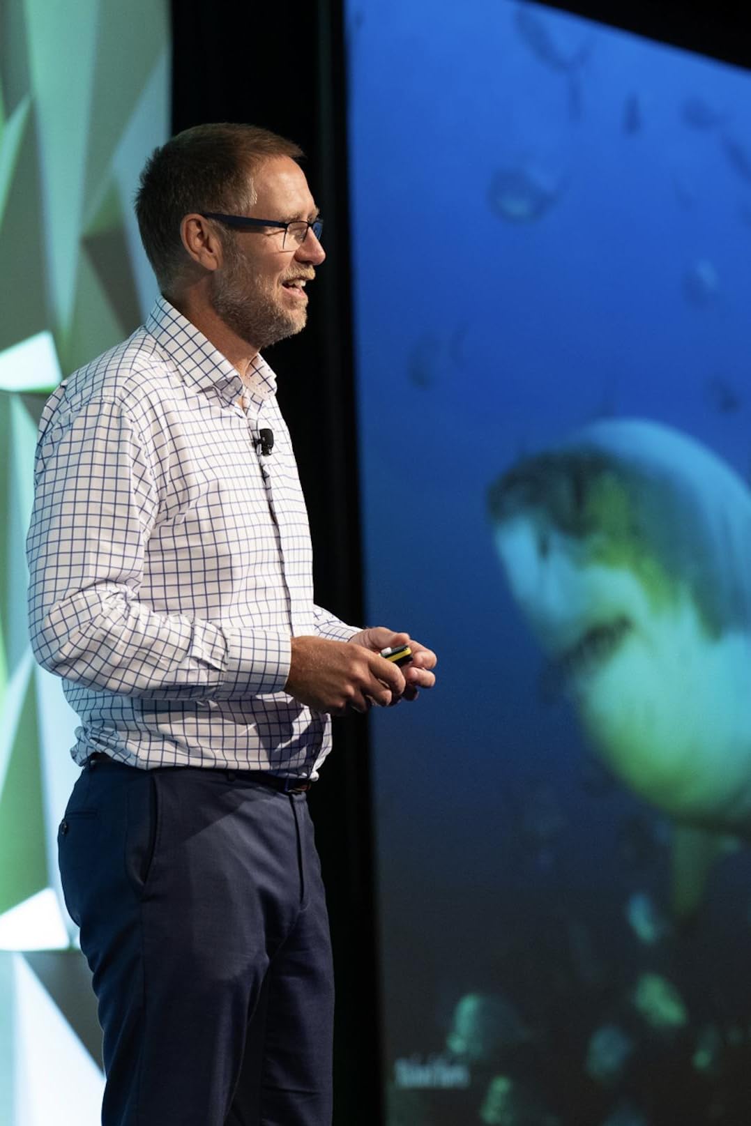 actor Richard Harris large photo