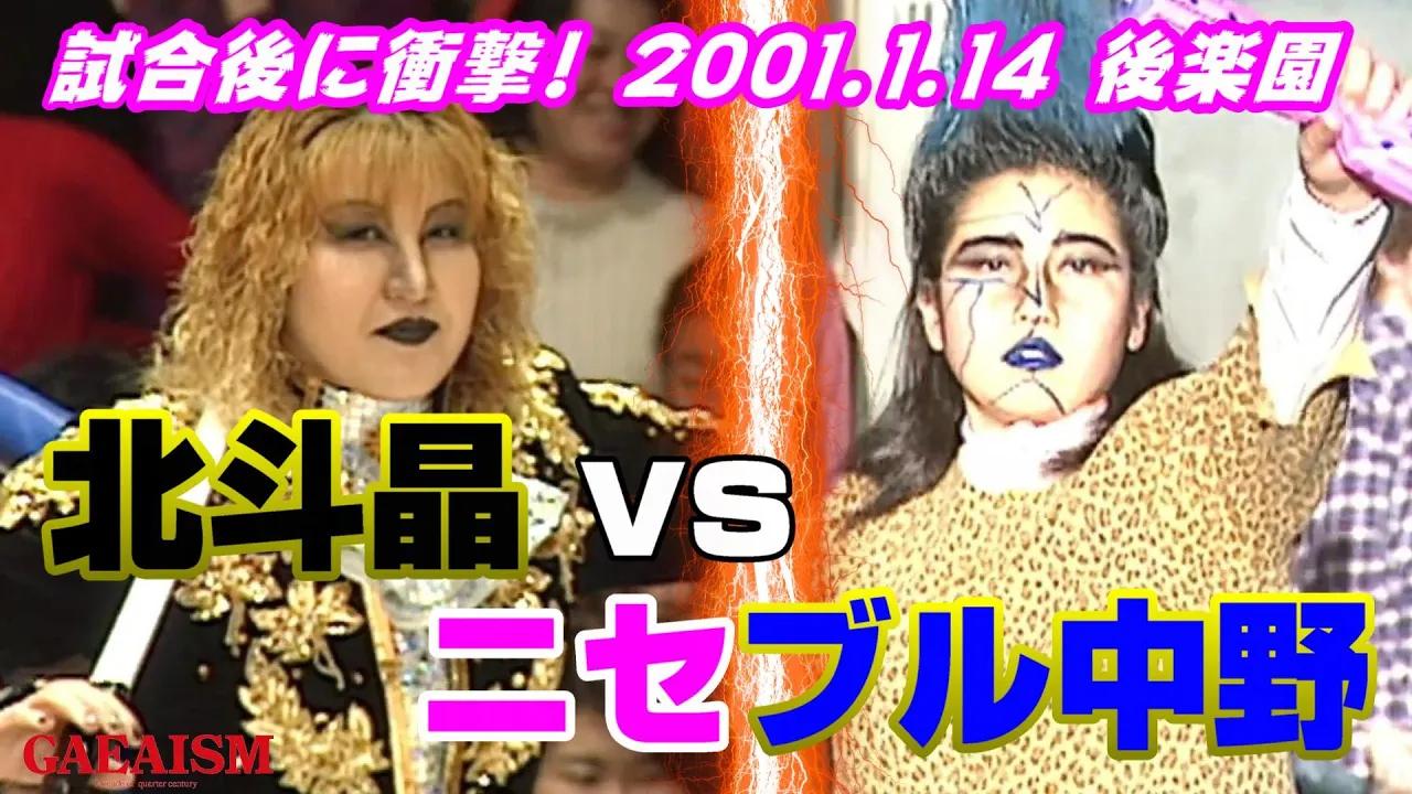 【女子プロレス GAEA】ニセブル中野 vs 北斗晶 からのまさかの展開!! 2001年1月14日@東京・後楽園ホール background