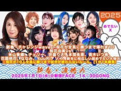 新春・チャレンジwave  桜花由美全員に勝つまで帰れま10 poster