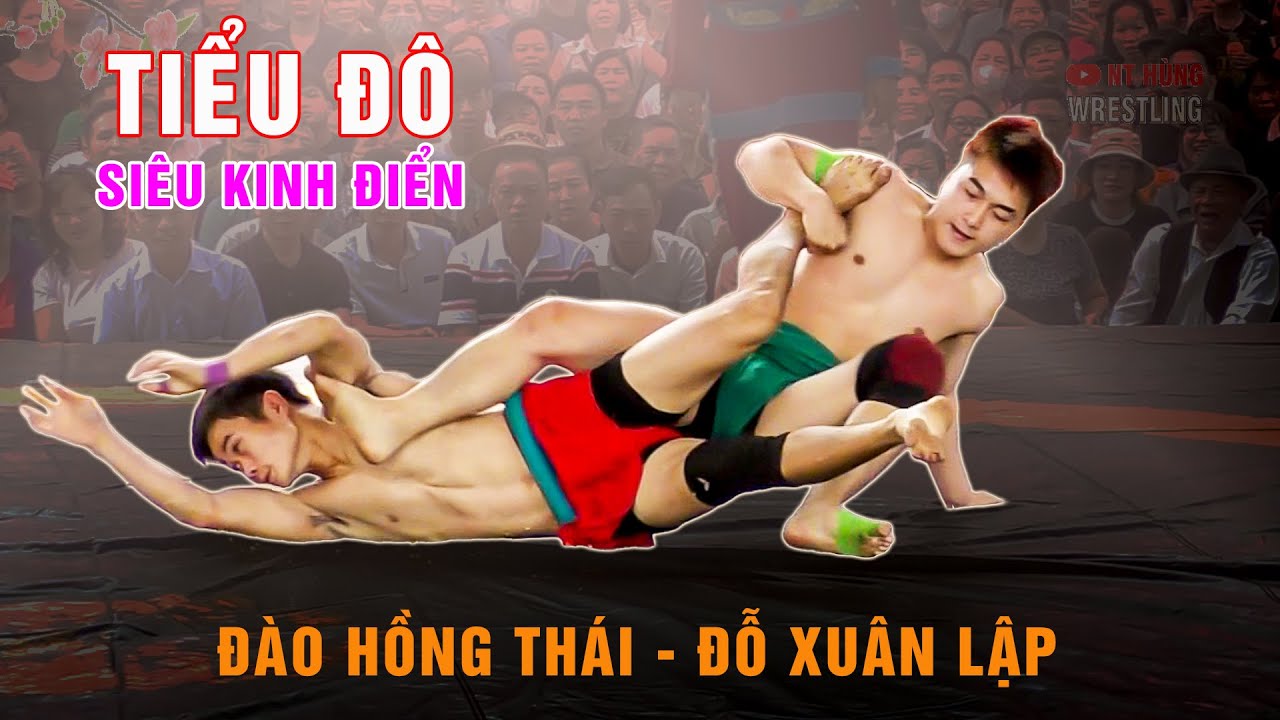 SIÊU KINH ĐIỂN - Tiểu Đô ĐÀO HỒNG THÁI - ĐỖ XUÂN LẬP. background