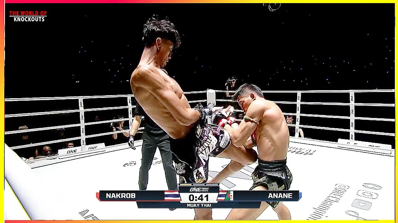 Nabil Anane (Algeria) vs Nakrob Fairtex (Thailand) - KNOCKOUT, MUAY THAI background