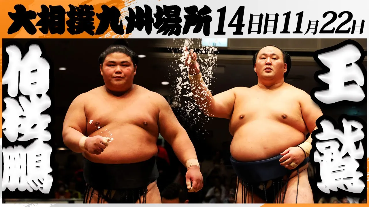 大相撲　伯桜鵬－玉鷲＜令和7年九州場所・14日目＞SUMO