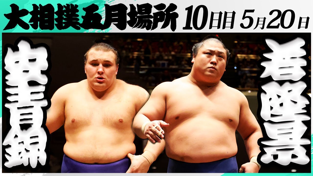 大相撲 安青錦ー若隆景<令和7年五月場所・10日目>SUMO