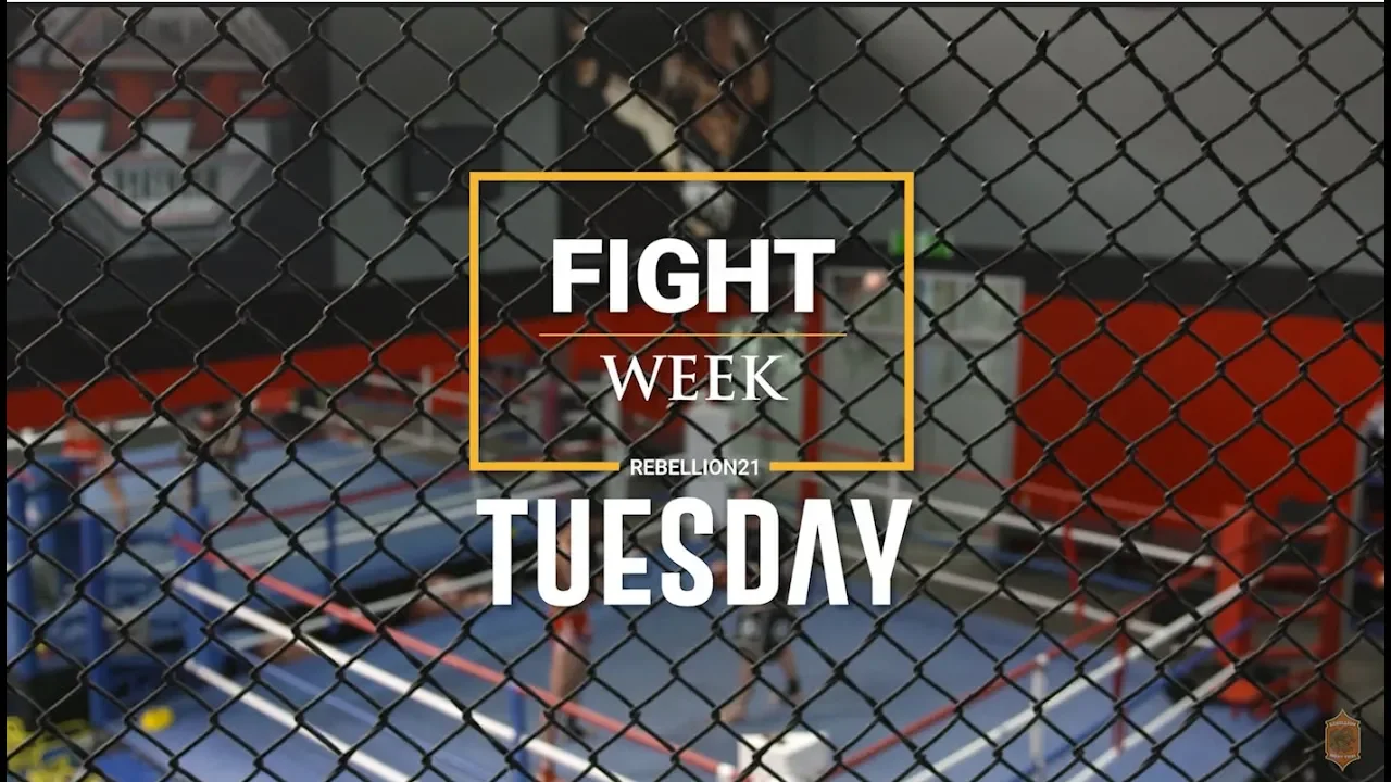 FIGHT WEEK// TUESDAY background