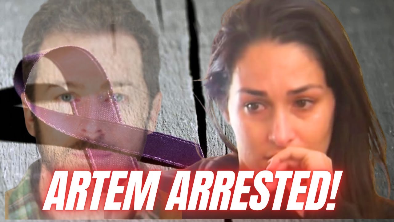Nikki Bella's husband ARRESTED: Everything we know