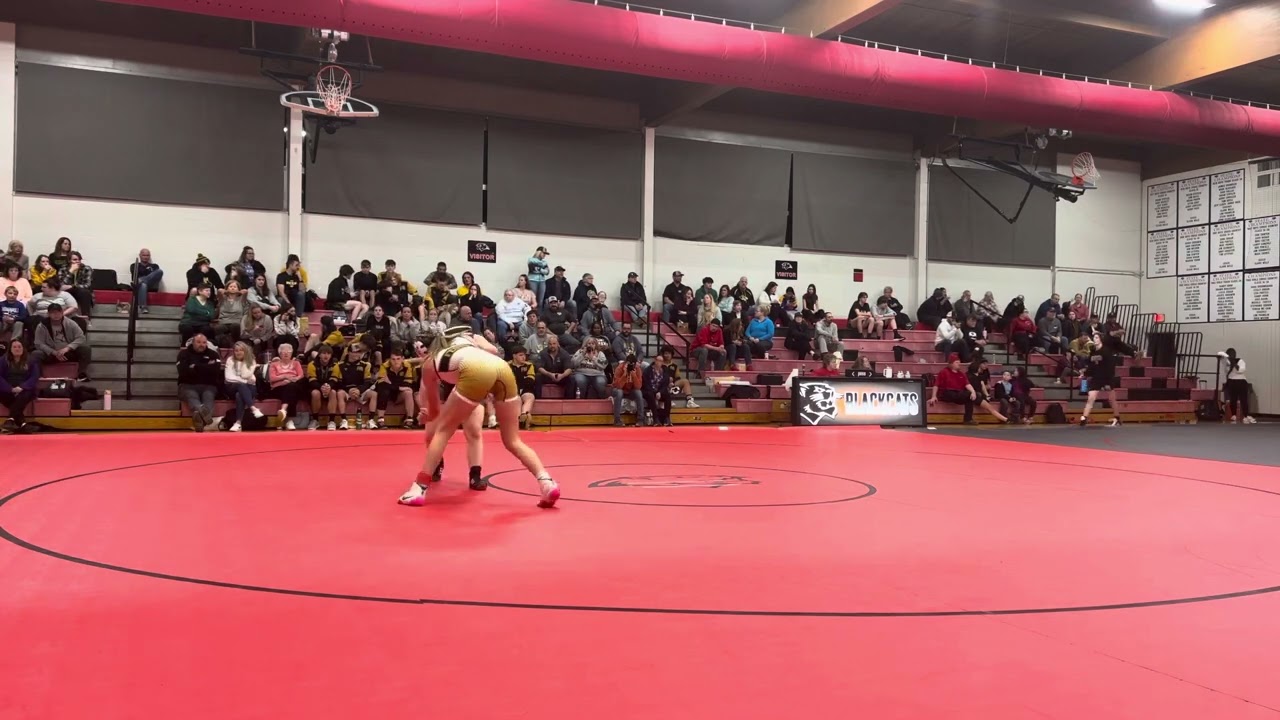 Ronzio vs. Festus background