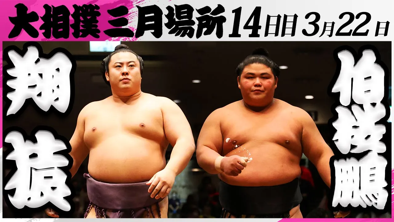 大相撲 翔猿ー伯桜鵬<令和7年三月場所・14日目>SUMO