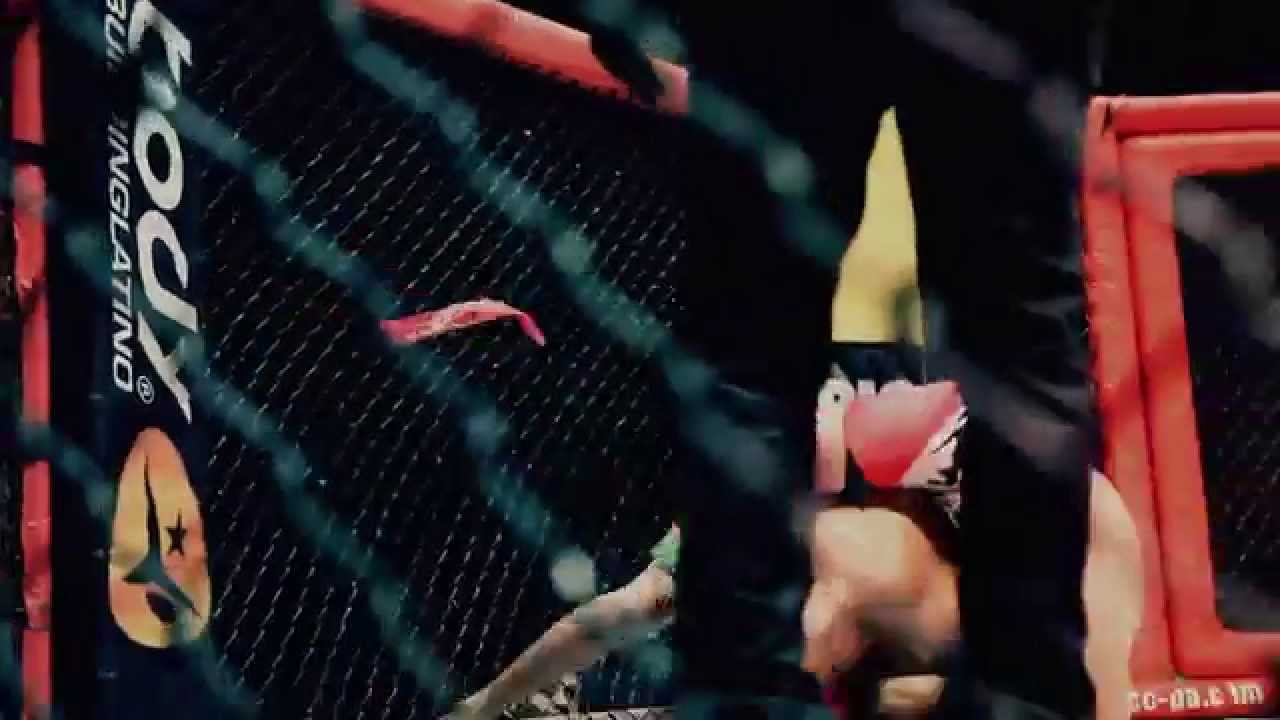 ULTIMATE COMBAT CHALLENGE background
