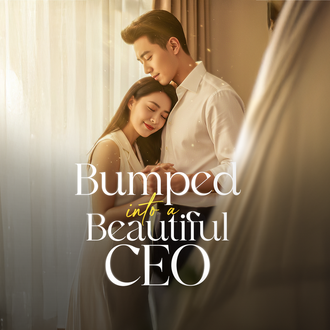 BUMPED INTO A BEAUTIFUL CEO poster