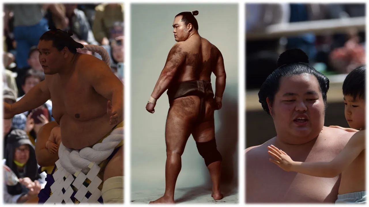 Terunofuji "finds practice painful"; Sanctuary star collapses (Sumo News, Apr 29th) background