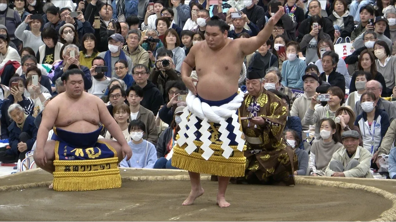 Hoshoryu resumes practice bouts; Onosato & Kotozakura look strong (Sumo News, Apr 8th) background