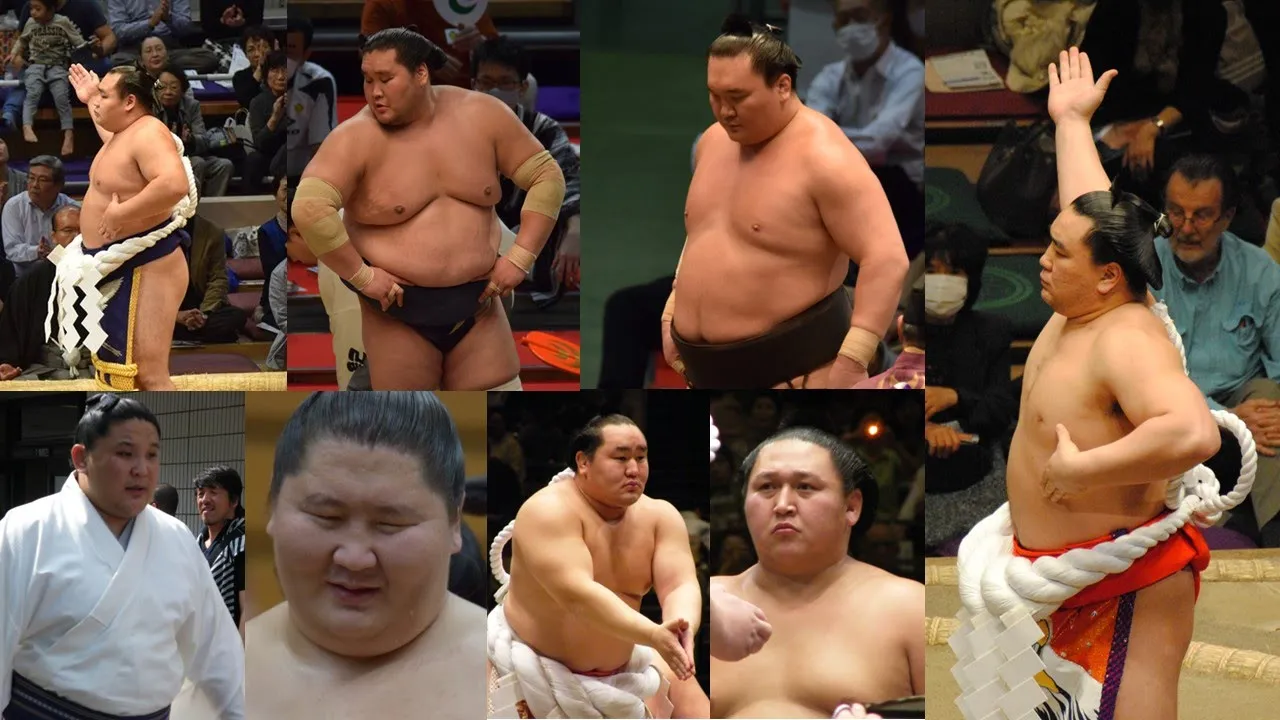 Timeline of Mongolian Sumo Success