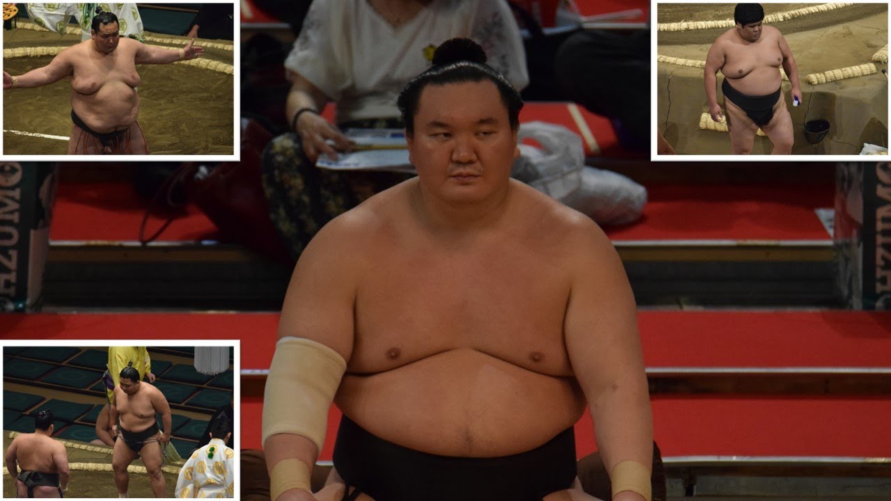3 promotions + 4 Hakuho loyalists quit (Sumo News, May 29th) background