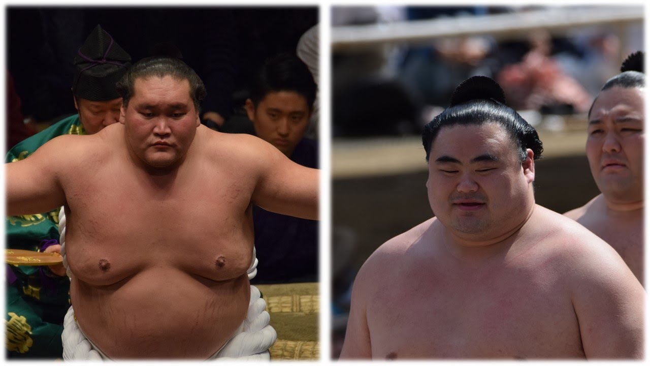 Terunofuji: "I can't see my next goal" + "Current wrestlers are best ever" backdrop
