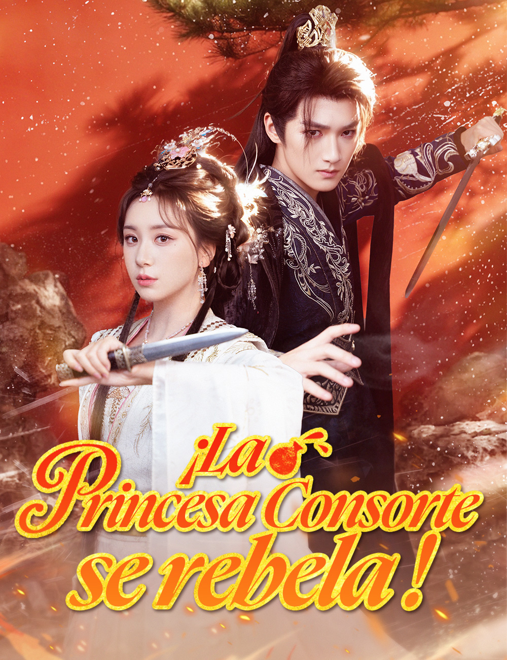 ¡La Princesa Consorte se rebela！ poster
