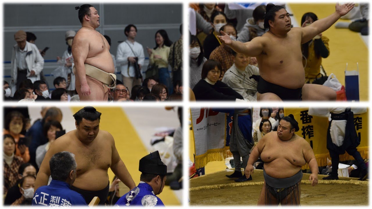 May 2024 Sumo: Why so many injuries? background