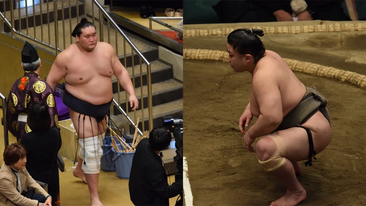 Terunofuji IN for March; throw expert Keitenkai retires (Sumo News, Mar 6th) background