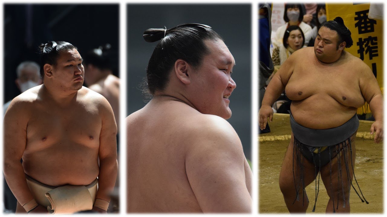 Hoshoryu eyes July crown; Terunofuji in the ring; Takakeisho's neck improves (Sumo News, Jun 22nd) background