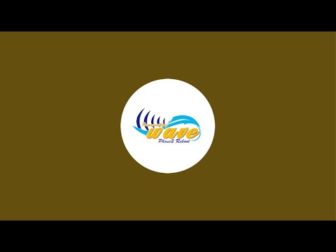 シュウイチ ニュースの森 20240321 background