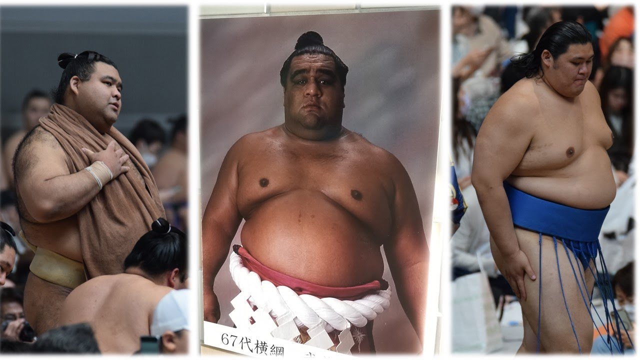 Ex-Yokozuna Musashimaru assesses May 2024; coach explains Kirishima slump (Jun 6th) backdrop