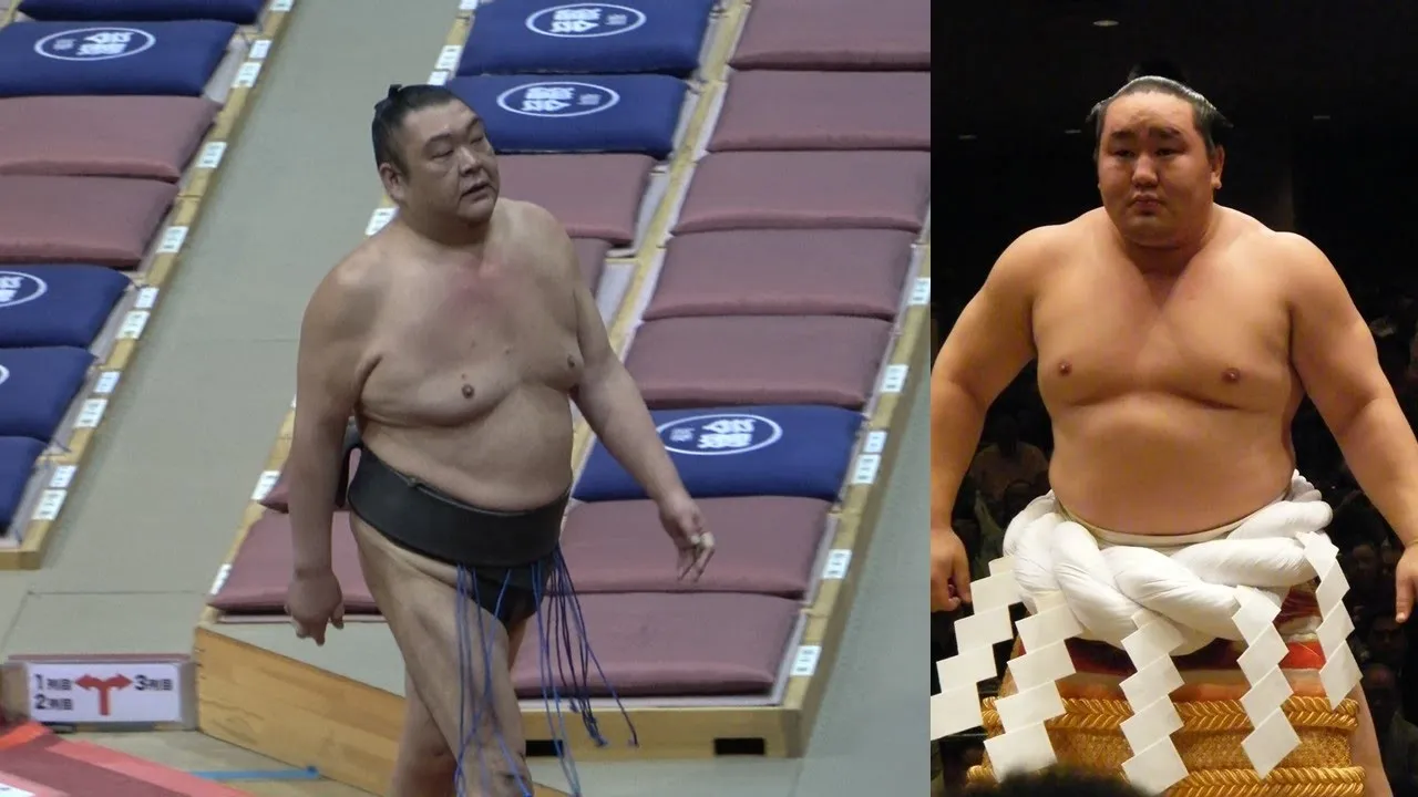 Asashoryu's loyal attendant quits sumo at 41