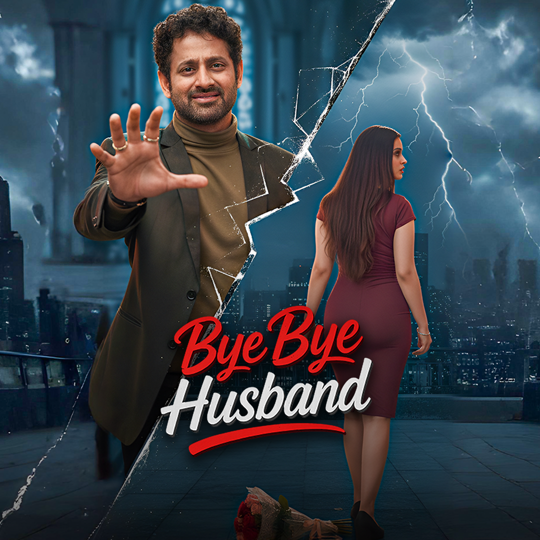 Bye Bye Husband poster