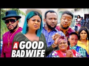 THE GOOD BAD WIFE