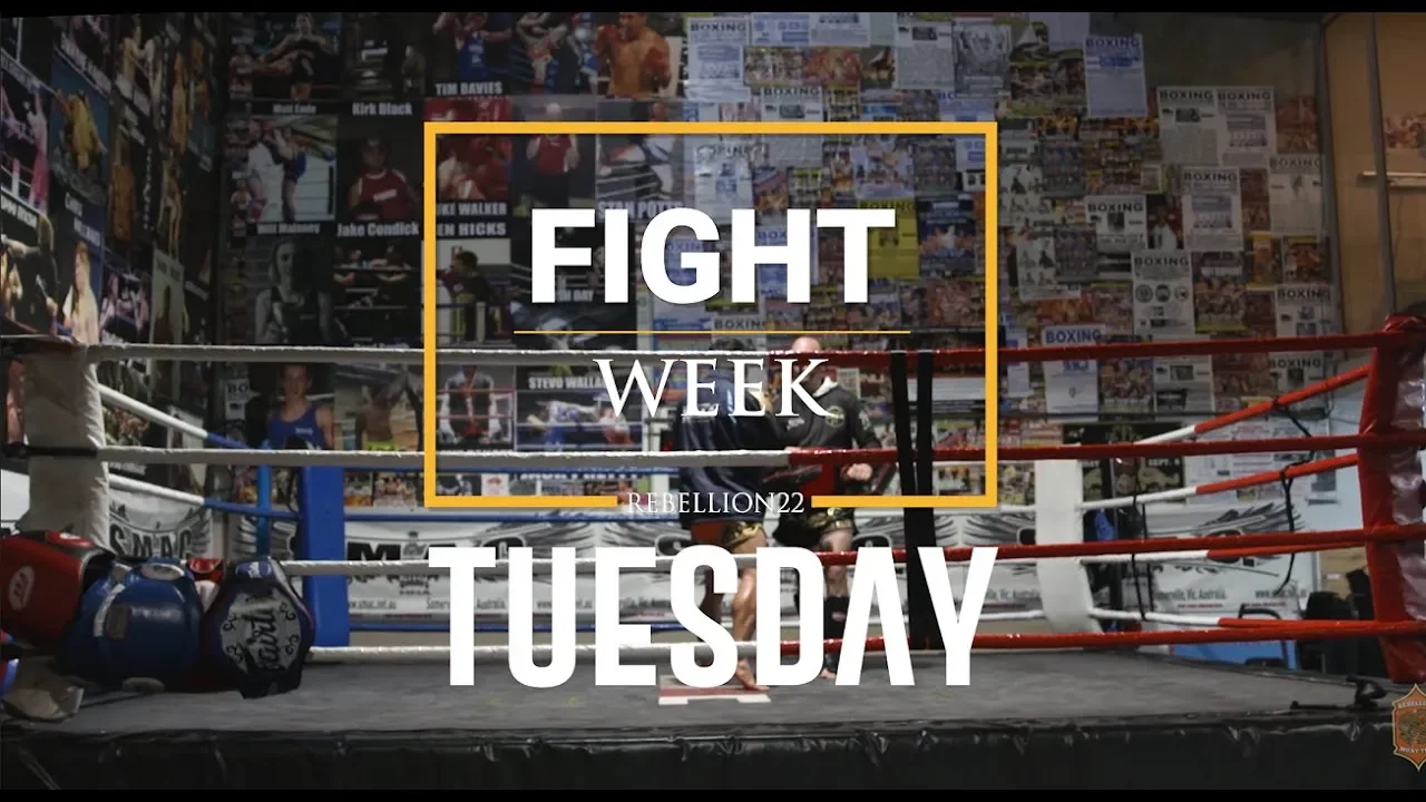 FIGHT WEEK// Tuesday