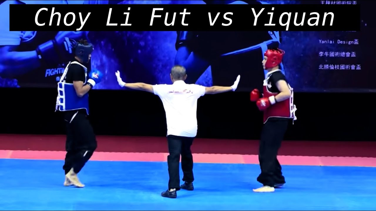 Kungfu The Shines - Choy Li Fut Dominates Yiquan background