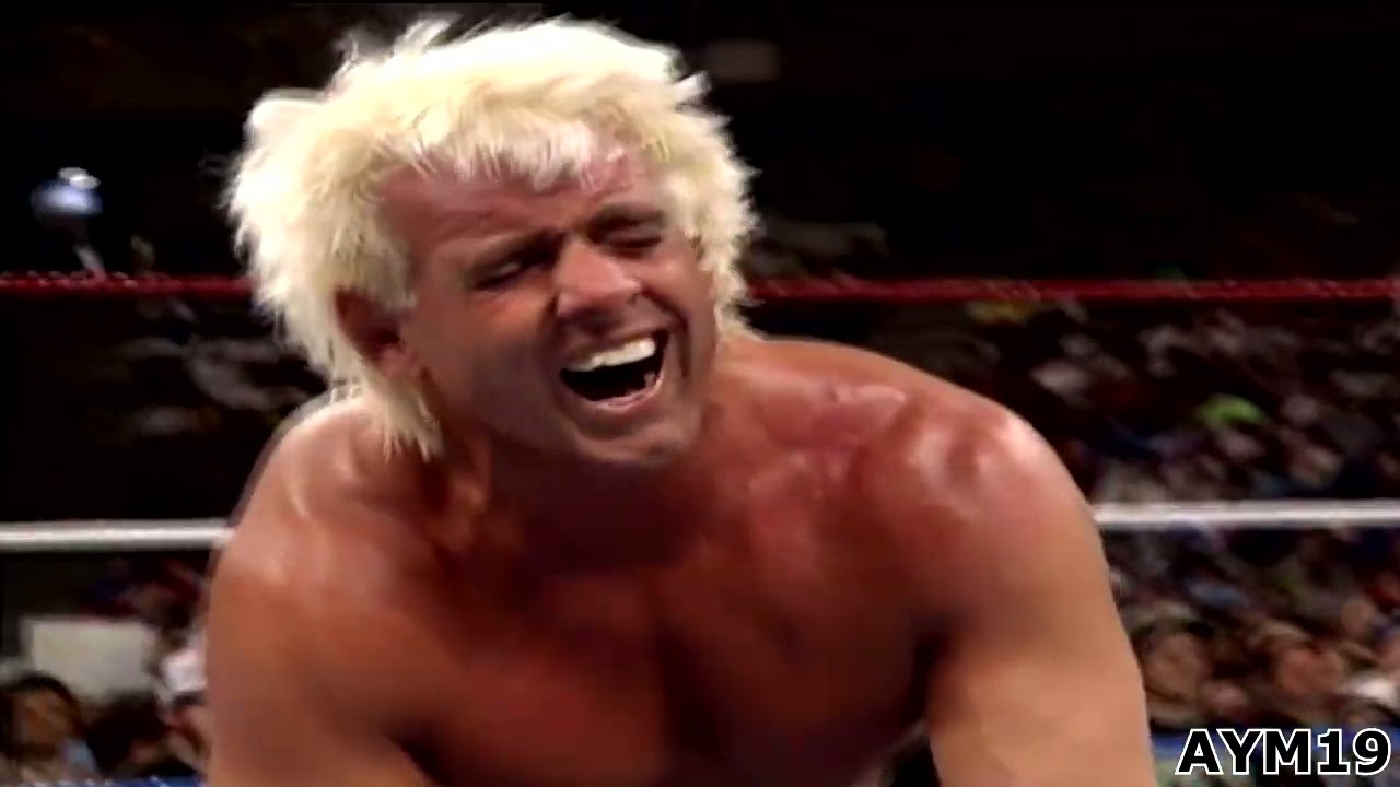 Royal Rumble Match 1992 Highlights background